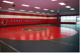 Wrestling Room- Design Floor and Wall Mats